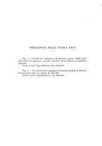 giornale/CFI0361356/1933/unico/00000548