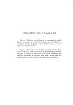 giornale/CFI0361356/1934/unico/00000186