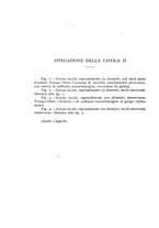 giornale/CFI0361356/1936/unico/00000050