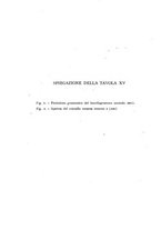 giornale/CFI0361356/1937/unico/00000330