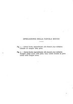 giornale/CFI0361356/1937/unico/00000542