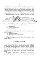 giornale/CFI0361356/1938/unico/00000051