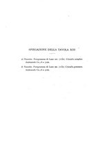 giornale/CFI0361356/1938/unico/00000290