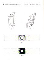 giornale/CFI0361356/1939/unico/00000305