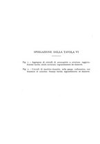 giornale/CFI0361356/1940/unico/00000068