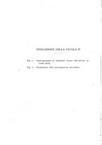 giornale/CFI0361356/1942/unico/00000026
