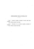 giornale/CFI0361356/1942/unico/00000328