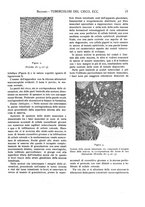 giornale/CFI0362084/1926/unico/00000023