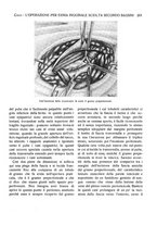 giornale/CFI0362084/1926/unico/00000227