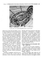 giornale/CFI0362084/1926/unico/00000233