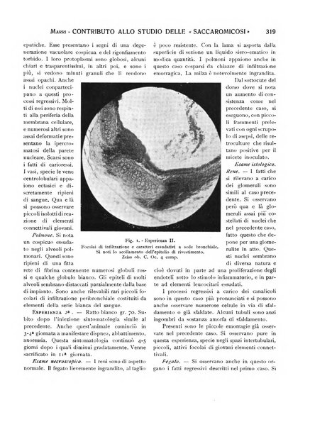 La pratica chirurgica e delle discipline affini Rivista bimensile