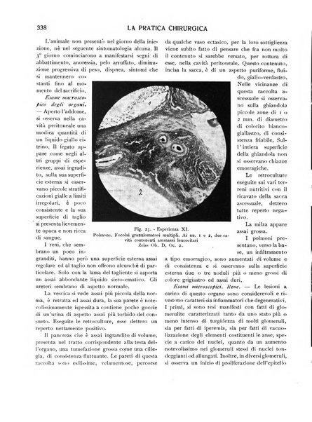 La pratica chirurgica e delle discipline affini Rivista bimensile