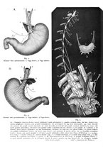 giornale/CFI0362084/1933-1936/unico/00000014