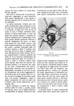 giornale/CFI0362084/1933-1936/unico/00000033