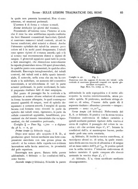 La pratica chirurgica e delle discipline affini Rivista bimensile