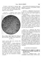 giornale/CFI0362084/1933-1936/unico/00000119