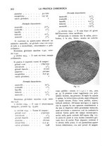 giornale/CFI0362084/1933-1936/unico/00000338