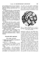 giornale/CFI0362084/1933-1936/unico/00000383