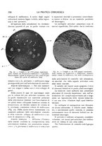 giornale/CFI0362084/1937-1942/unico/00000228