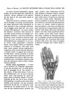 giornale/CFI0362084/1937-1942/unico/00000263