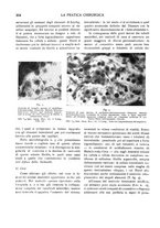 giornale/CFI0362084/1937-1942/unico/00000318