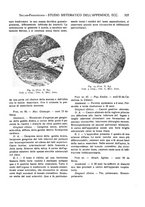 giornale/CFI0362084/1937-1942/unico/00000341