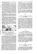 giornale/CFI0362326/1933/unico/00000165