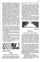 giornale/CFI0362326/1933/unico/00000223