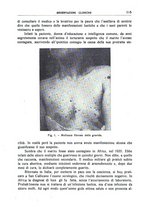 giornale/CFI0362812/1940/unico/00000163