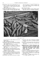 giornale/CFI0362827/1940/unico/00000044