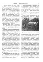 giornale/CFI0362827/1941/unico/00000241