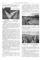 giornale/CFI0362827/1941/unico/00000268