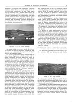 giornale/CFI0362827/1941/unico/00000287