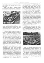 giornale/CFI0362827/1941/unico/00000293