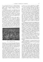 giornale/CFI0362827/1941/unico/00000295