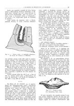 giornale/CFI0362827/1942/unico/00000163