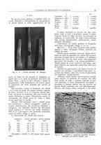 giornale/CFI0362827/1942/unico/00000165