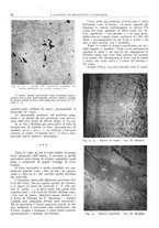 giornale/CFI0362827/1942/unico/00000166