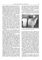 giornale/CFI0362827/1942/unico/00000205
