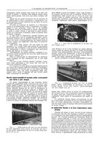giornale/CFI0362827/1942/unico/00000239