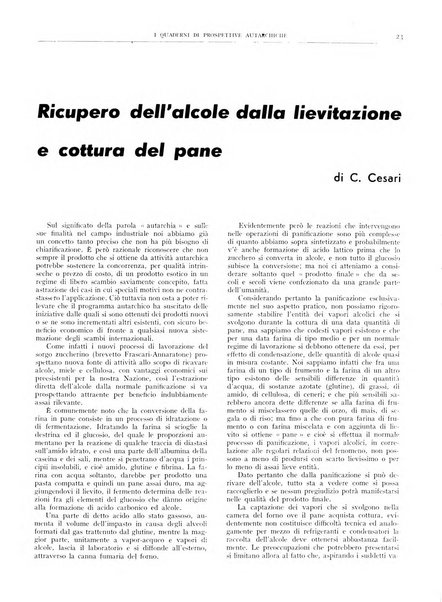 I quaderni di prospettive autarchiche problemi, realizzazioni, documentazioni