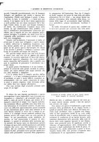 giornale/CFI0362827/1943/N.13-15/00000061
