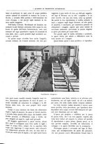 giornale/CFI0362827/1943/N.13-15/00000065