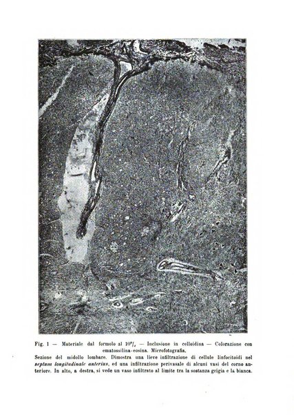 Quaderni di psichiatria rivista mensile teorica e pratica