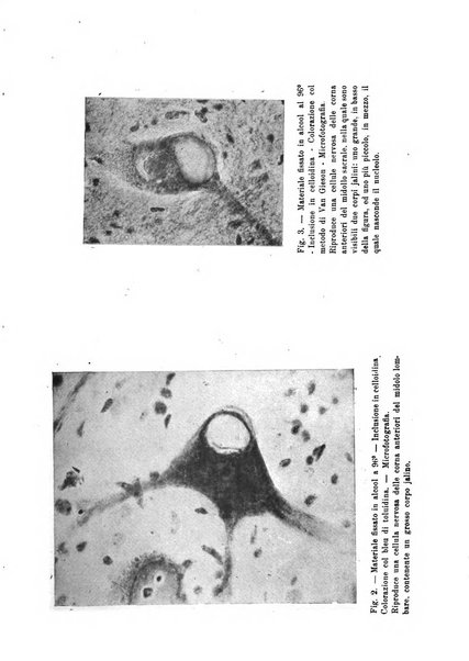 Quaderni di psichiatria rivista mensile teorica e pratica