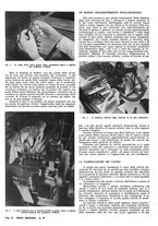 giornale/CFI0362939/1943-1946/unico/00000028