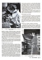 giornale/CFI0362939/1943-1946/unico/00000029