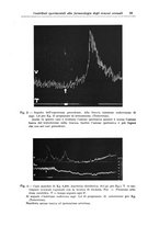 giornale/CFI0363168/1940/unico/00000035