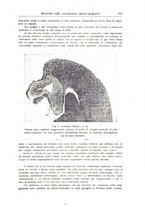 giornale/CFI0363168/1941/unico/00000169