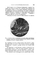 giornale/CFI0363237/1927/unico/00000217